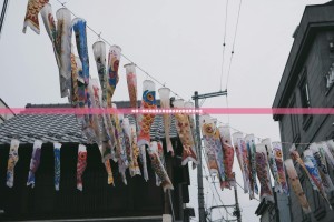 推荐一款陕麻圈其实有挂确实真的有挂果然有挂