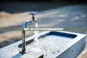推荐一款十三十三水有没有挂果然有挂