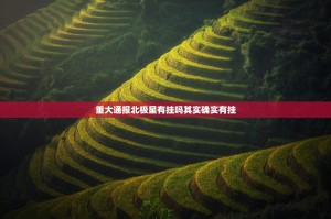 重大通报北极星有挂吗其实确实有挂