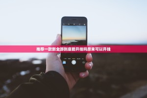 推荐一款新全游到底能开挂吗原来可以开挂
