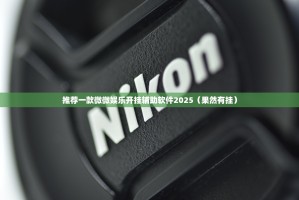 推荐一款微微娱乐开挂辅助软件2025（果然有挂）