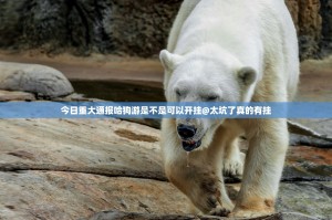 重大通报捞腌菜如何开挂2025（果然有挂）