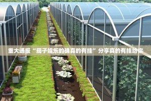 重大通报“茄子娱乐的确真的有挂”分享真的有挂给你