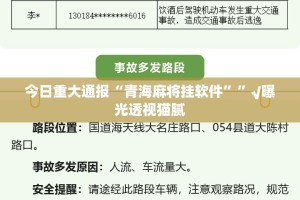 今日重大通报“青海麻将挂软件””√曝光透视猫腻