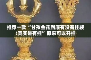 推荐一款“甘孜金花到底有没有挂装!其实是有挂”原来可以开挂