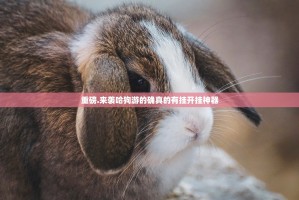 重磅.来袭哈狗游的确真的有挂开挂神器