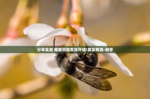 分享实测 蜜蜂历险怎样开挂!其实有挂-知乎