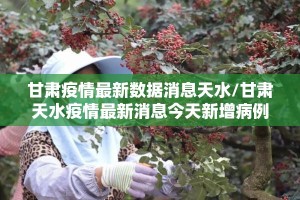 甘肃疫情最新数据消息天水/甘肃天水疫情最新消息今天新增病例