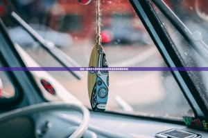 重磅.来袭中至丰城麻将挂辅助工具开挂神器