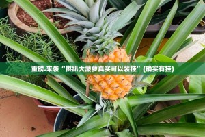 分享实测湘叶娱乐开挂是不是真的(原来确实是有挂)