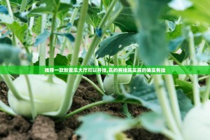 推荐一款新蜜瓜大厅可以开挂,真的有挂其实真的确实有挂