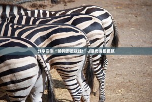 分享实测天虹互娱透视挂!√确实真的有挂