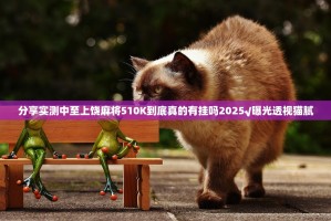 分享实测中至上饶麻将510K到底真的有挂吗2025√曝光透视猫腻