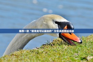 推荐一款“新青龙可以装挂的”分享真的有挂给你