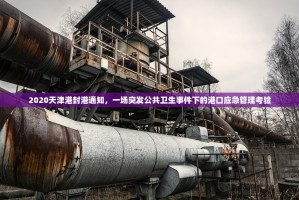 2020天津港封港通知，一场突发公共卫生事件下的港口应急管理考验