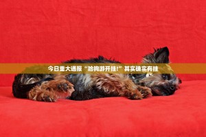 今日重大通报“哈狗游开挂!”其实确实有挂