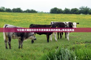 今日重大通报玖玖牛牛原来确实真的有挂√其实是有挂