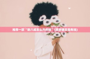 推荐一款“新八戒怎么开的挂”(原来确实是有挂)