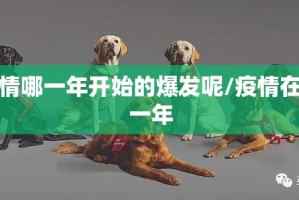 重磅.来袭pokernow可以装挂的(其实真的能开挂)