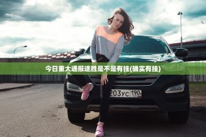 今日重大通报途胜是不是有挂(确实有挂)
