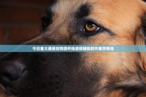 推荐一款叮叮娱乐到底有没有透视挂开挂神器