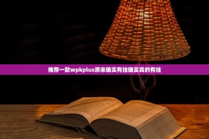 推荐一款wpkplus原来确实有挂确实真的有挂