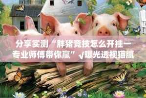 推荐一款“即赢互动确实有挂可以开挂”√其实是有挂