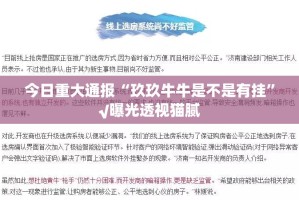 重大通报博雅曲靖棋牌开挂神器下载(确实有挂)