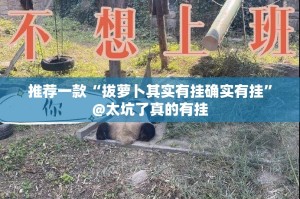 推荐一款“拔萝卜其实有挂确实有挂”@太坑了真的有挂
