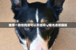 推荐一款哈狗游可以开挂吗!√曝光透视猫腻