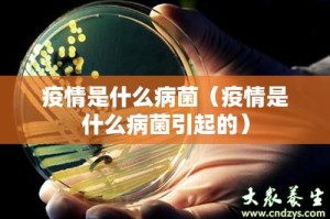 今日重大通报“BB棋牌怎么买挂确实真的有挂”√必胜开挂神器