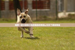 推荐一款川麻换三张的确真的有挂√太坑了原来有挂