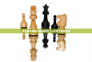 今日重大通报斗棋挂软件”√太坑了原来有挂