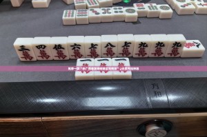 重大通报中至丰城麻将怎么开挂开挂技巧真的确实有挂