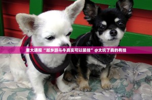 今日重大通报咪咪扑克可以装挂的开挂神器