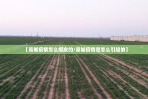 【藁城疫情怎么爆发的/藁城疫情是怎么引起的】