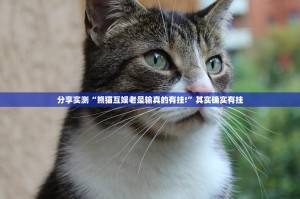 今日重大通报杭州都莱挂怎么买!实测确实有挂