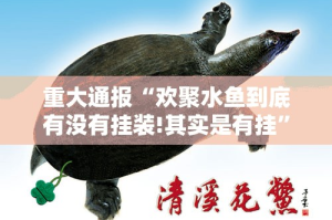重大通报“欢聚水鱼到底有没有挂装!其实是有挂”开挂神器