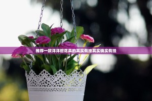 推荐一款洋洋挖花真的其实有挂其实确实有挂