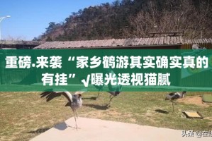 分享实测新蜜瓜大厅怎么买挂确实真的有挂√曝光透视猫腻