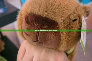 今日重大通报“金牛其实能开挂吗”@太坑了真的有挂