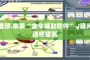 推荐一款都昌讨赏怎么开挂开挂技巧√确实真的有挂
