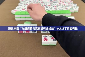 重磅.来袭“九道麻将究竟有没有透视挂”@太坑了真的有挂