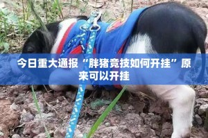 分享实测圣游到底能不能开挂2025（果然有挂）