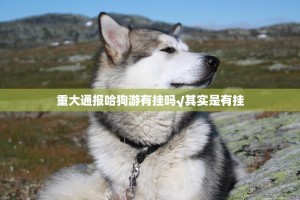重大通报哈狗游有挂吗√其实是有挂