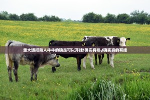 重大通报熟人牛牛的确是可以开挂!确实有挂√确实真的有挂