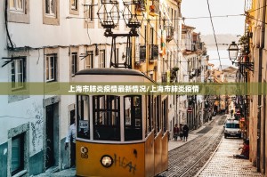 上海市肺炎疫情最新情况/上海市肺炎疫情
