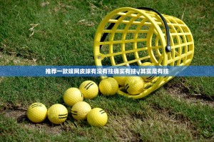 推荐一款娱网皮球有没有挂确实有挂√其实是有挂