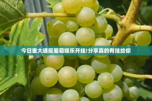 今日重大通报葡萄娱乐开挂!分享真的有挂给你