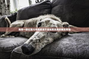 推荐一款欧博确实真的有挂!原来真可以开挂